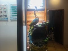 -竹雀古法采耳(青岛麦凯乐店)