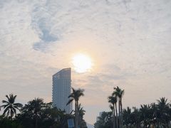 -万绿园