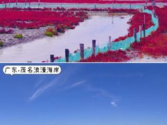 -青岛金沙滩