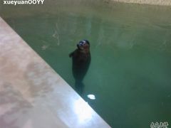 Photo-0206-绿色时代大酒店