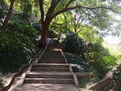 -乌山风景区