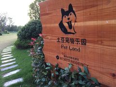 -上海崇明金茂凯悦酒店