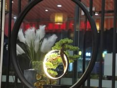 -喜上喜鸡煲翅(吉大店)