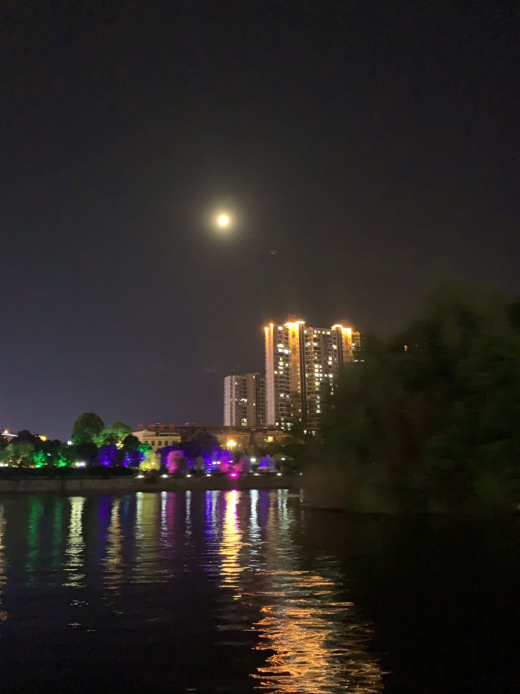 秋天的夜景超美腻!