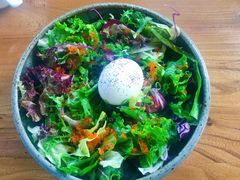 -Hatsune隐泉日式料理(三里屯太古里店)