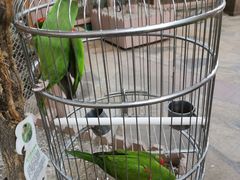 -南宫五洲植物乐园