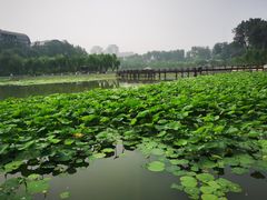 -中国农业博物馆