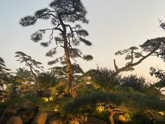 -罗红摄影艺术馆