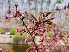 -元大都城垣遗址公园