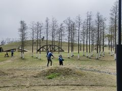 -春花秋色城市公园