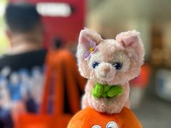 -一坐一忘云南菜(卓悦中心)