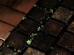 -河南省黄河迎宾馆