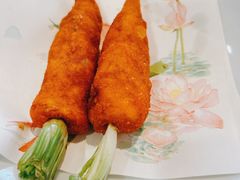 -丁老爷子苏香圆
