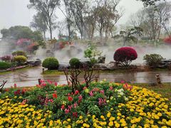 -东莞植物园
