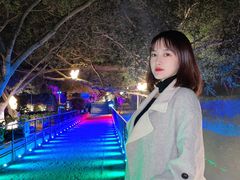 -胡里山炮台