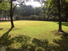 -上海交通大学医学院附属瑞金医院(总院)