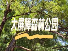 -大屏嶂森林公园
