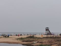 -日照海滨国家森林公园
