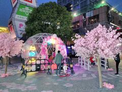 -证大大拇指广场(芳甸路店)