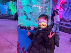 -横店影视城梦幻谷园区