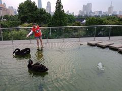 -行者书屋大堂吧 ·下午茶(南京圣和府邸酒店)