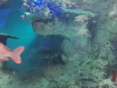 -福州罗源湾海洋世界旅游区