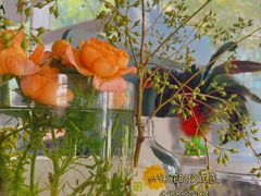 -奈雪的茶(凯德新都心店)