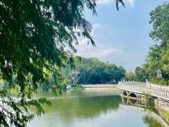 -深圳仙湖植物园