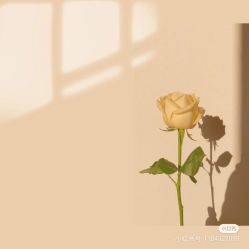 -Oasis Beauty水磨坊科技美肤中心
