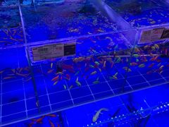 -大润发(春阳店)