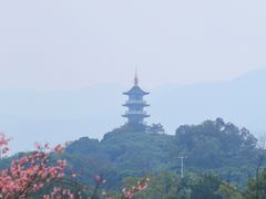 -风云岭森林公园