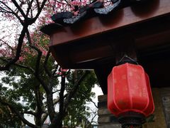-杭州植物园
