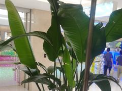 -旺顺阁鱼头泡饼(常营店)