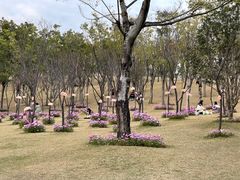 -牛岗山公园