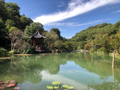 -云溪植物园