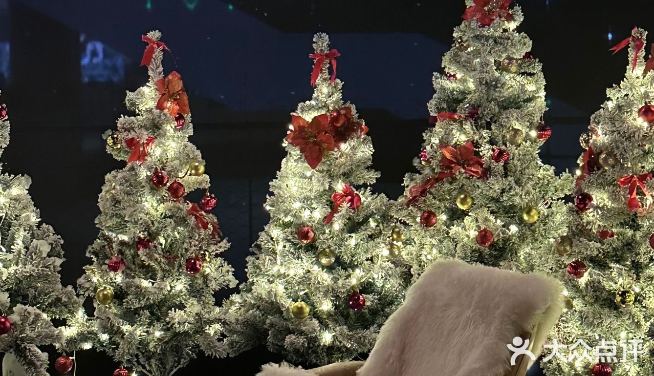 西湖边!室内圣诞树森林🌲好拍还不冷!!