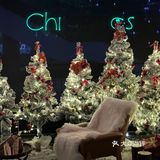 西湖边!室内圣诞树森林🌲好拍还不冷!!