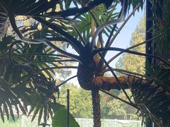 -J Create城市露营咖啡·简餐·宠物(上海动物园店)