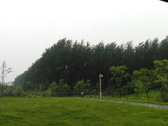 -黄海国家森林公园