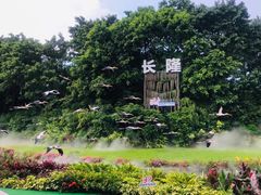 -广州长隆飞鸟乐园