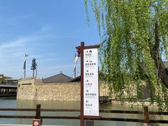 -莫愁村问君老酸奶