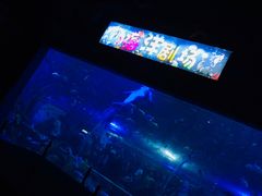 -白鹿仓冰雪海洋世界