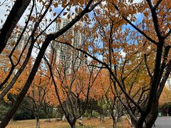 -苏州河梦清园环保主题公园