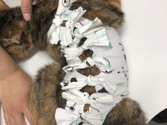 -联萌宠物医院(猫病专科)