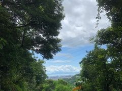 -梧桐山风景名胜区