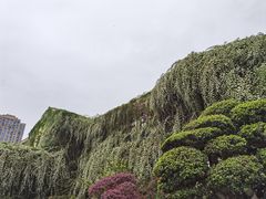 -成都当代影像馆