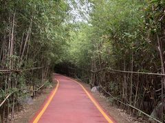 -西安汉城湖景区