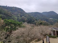 -广州市石门国家森林公园