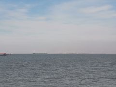 -上海滨江森林公园