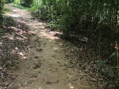 -宝界山林公园